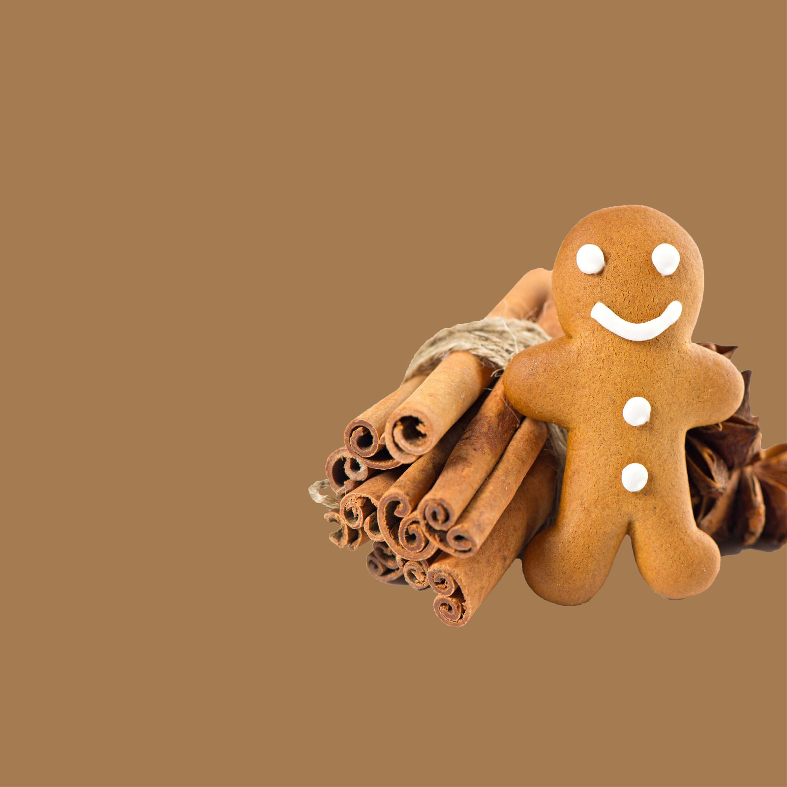 NO. 40 Fragrance Oil for Soaps & Candles - Gingerbread