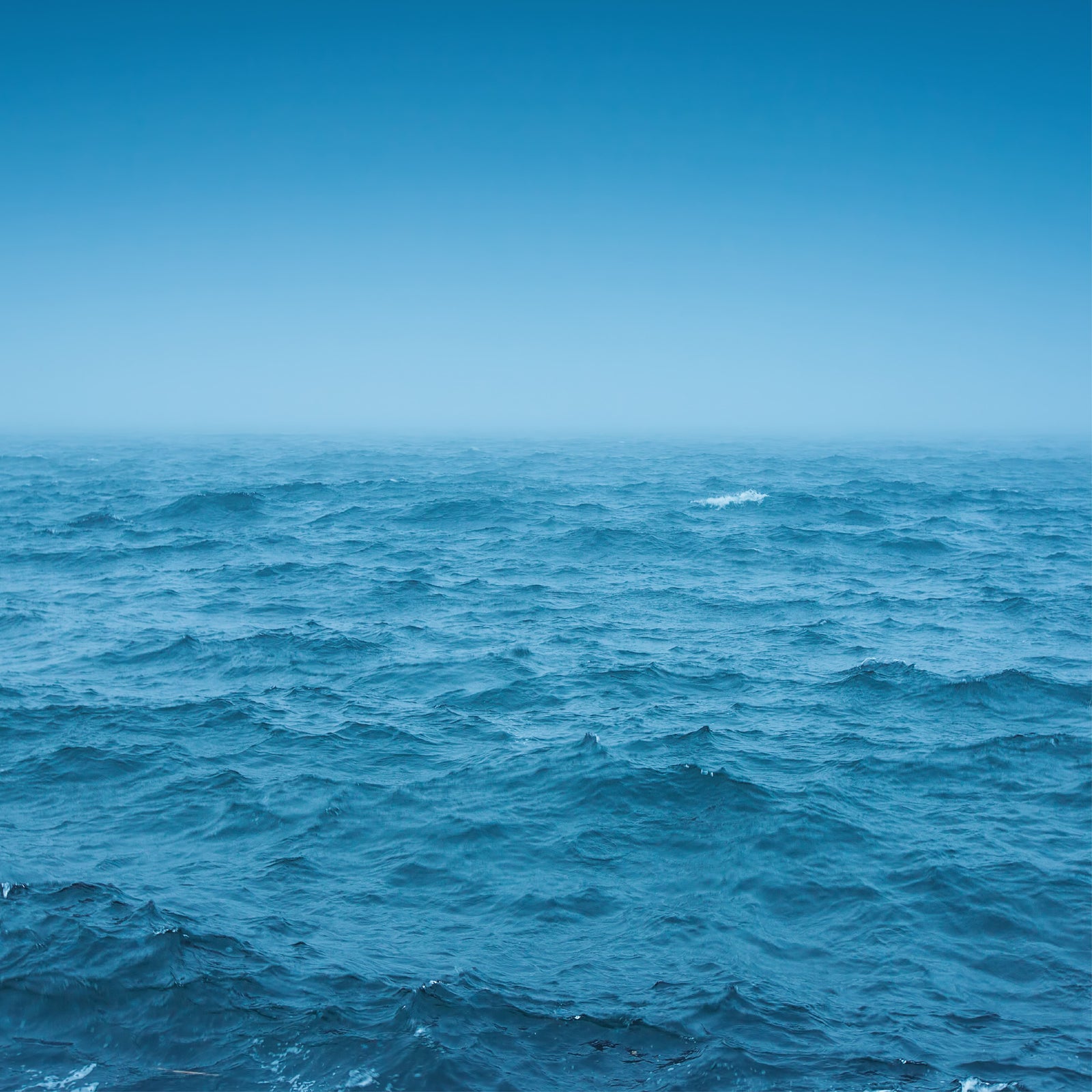 NO. 56 Fragrance Oil for Cold Air Diffusers - Ocean Rain