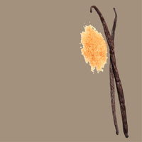 NO. 1120 Fragrance Oil for Cold Air Diffusers - Inspired by: Warm Vanilla Sugar by Bath & Body Works