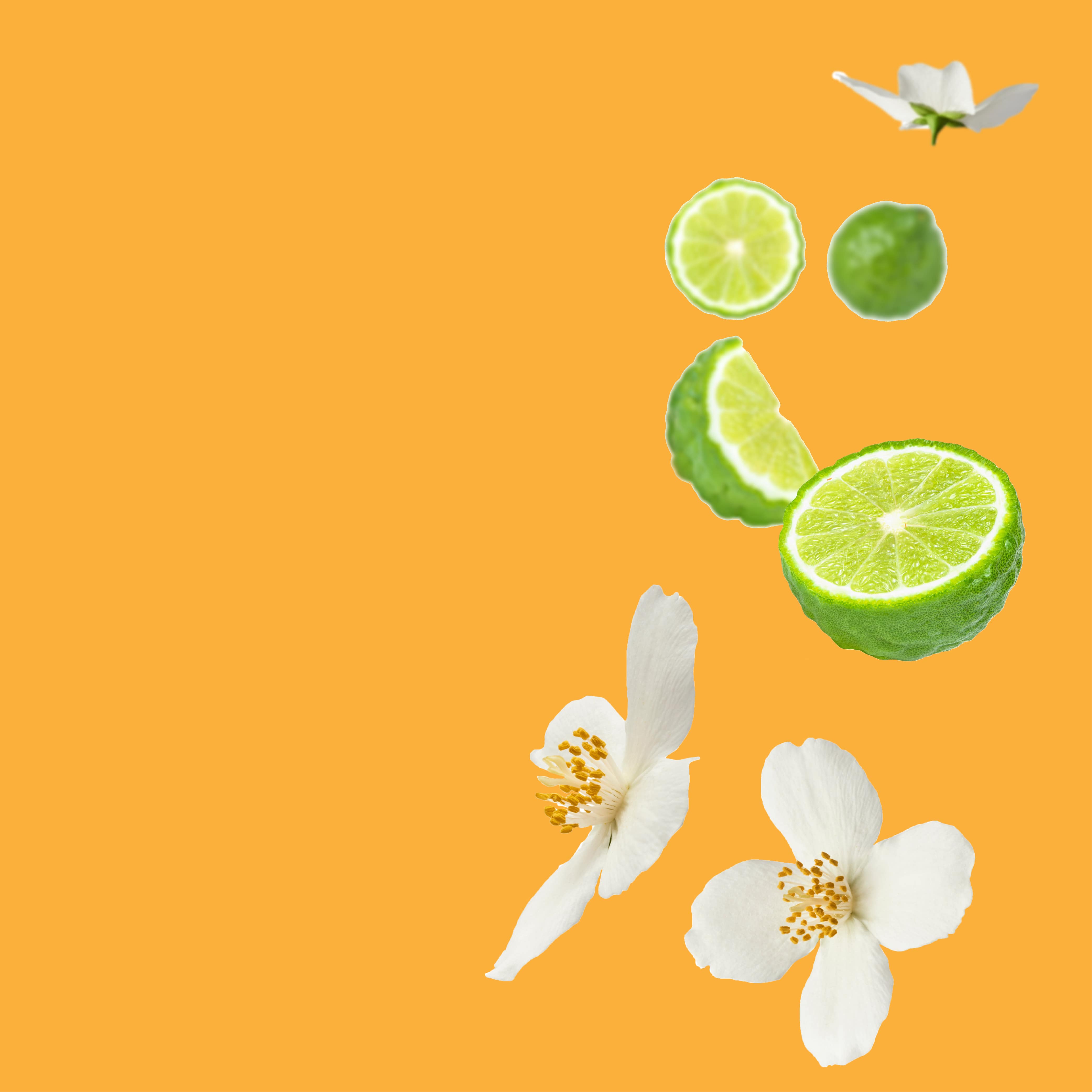 NO. 1500 Fragrance Oil for Cold Air Diffusers - Inspired by: Amazing Grace by Philosophy