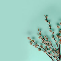 NO. 1110 Fragrance Oil for Cold Air Diffusers - Inspired by: April Fresh by Downy