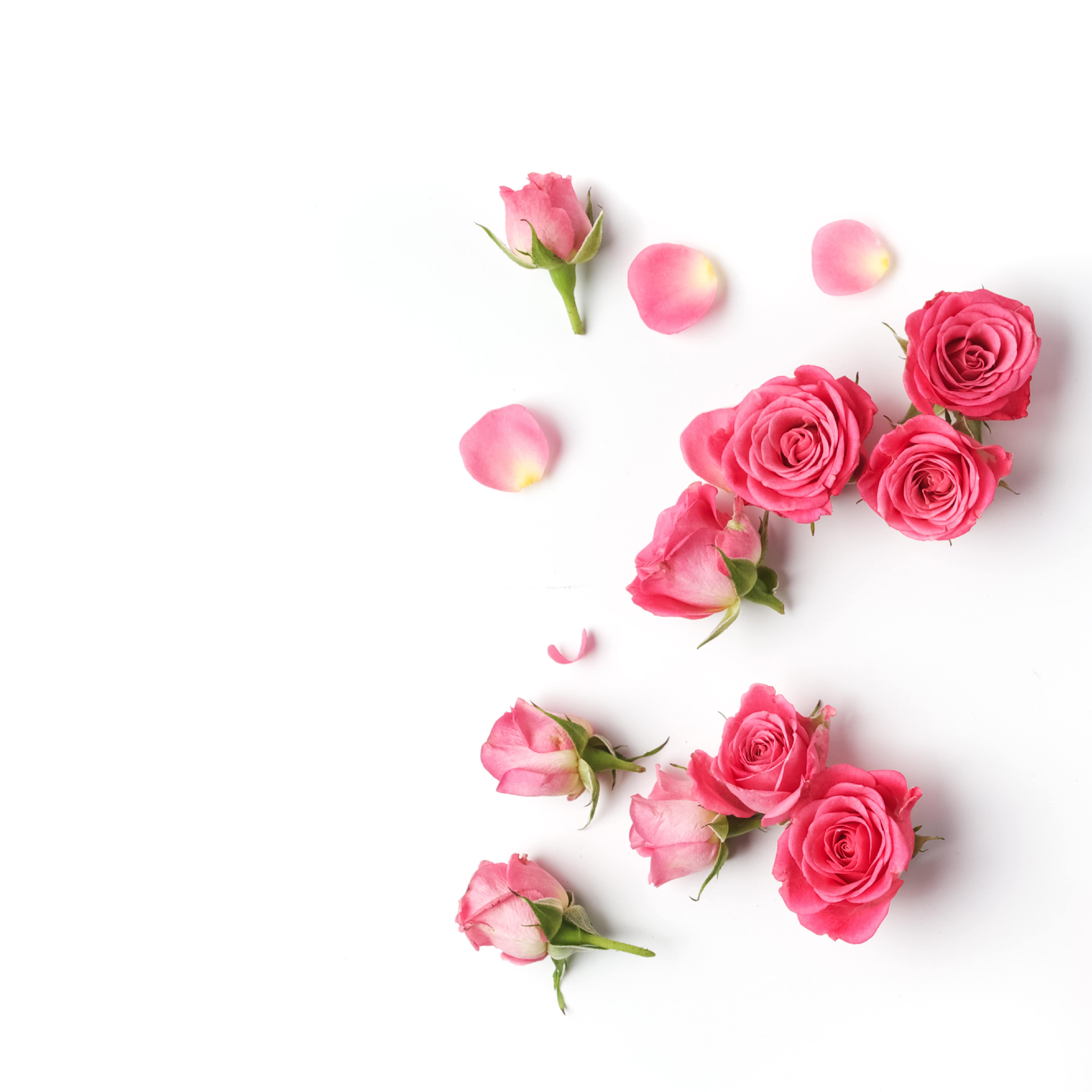 NO. 33 Fragrance Oil for Cold Air Diffusers - Fresh Cut Roses