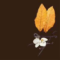 NO. 3100 Fragrance Oil for Cold Air Diffusers - Inspired by: Tobacco Vanille by Tom Ford