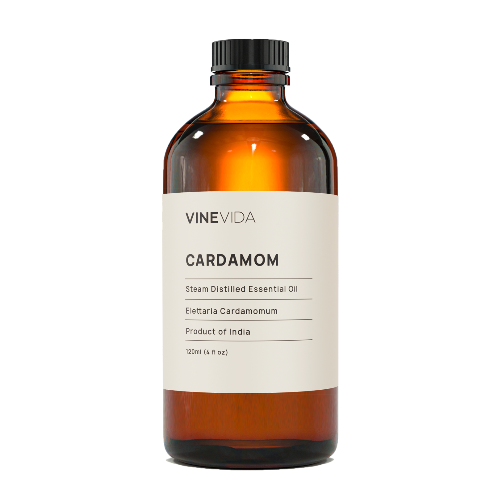 Cardamom Essential Oil