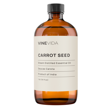Carrot Seed Essential Oil