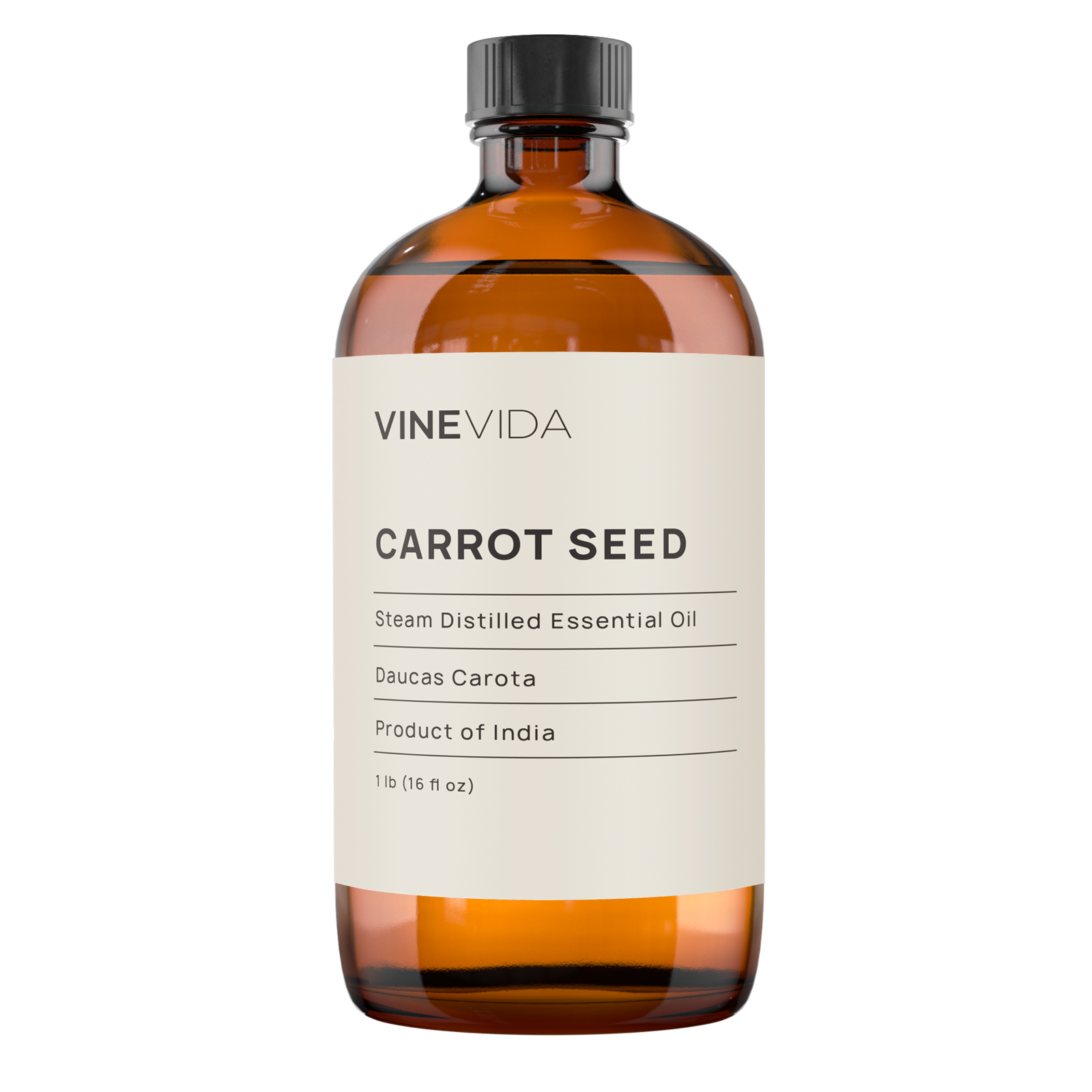 Carrot Seed Essential Oil