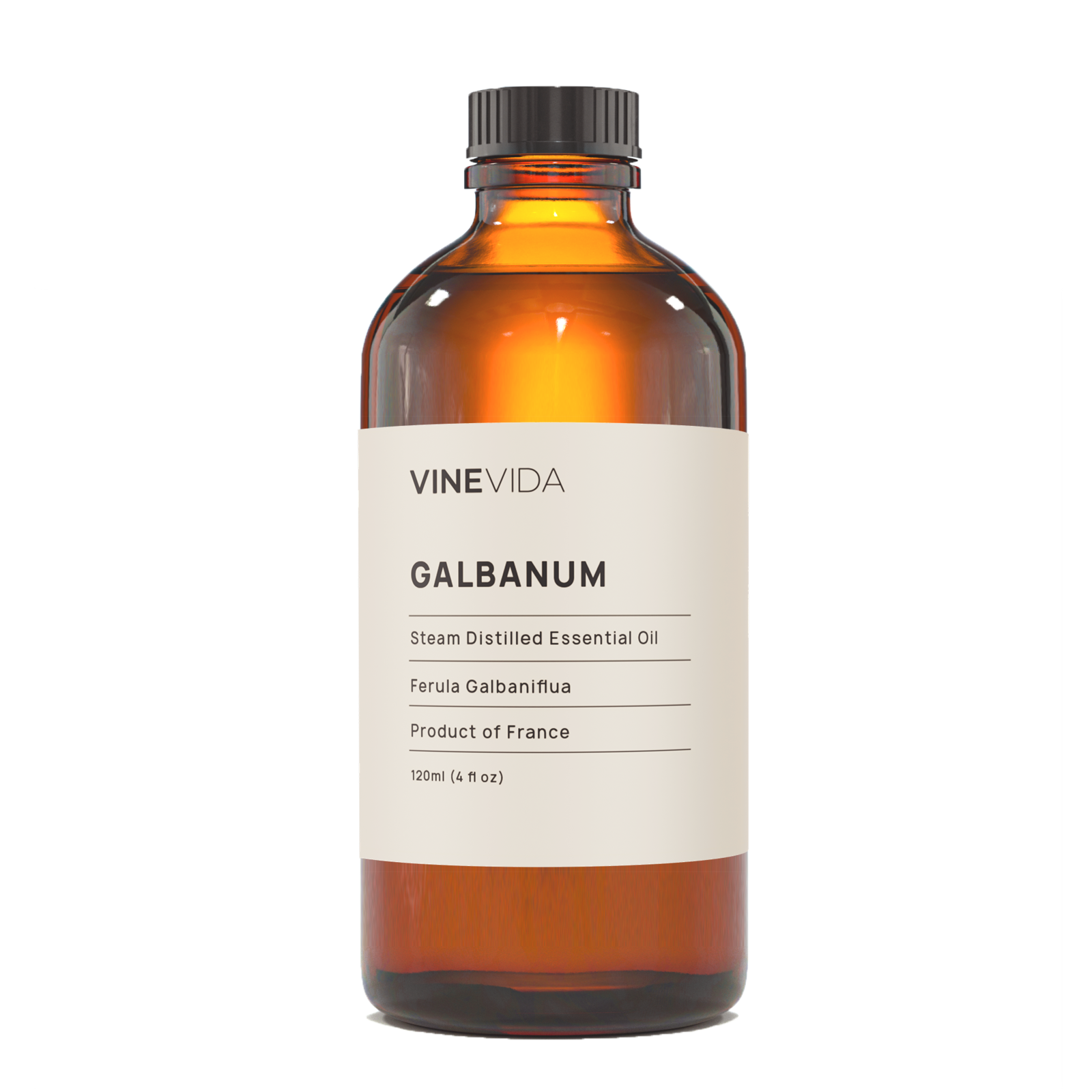Galbanum Essential Oil