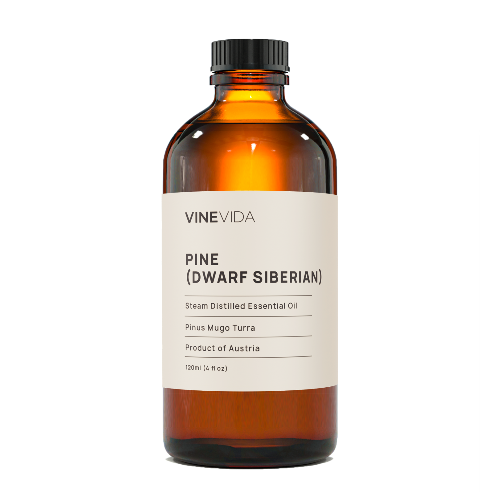 Pine (Dwarf Siberian) Essential Oil