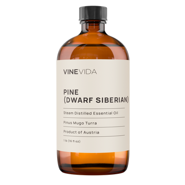 Pine (Dwarf Siberian) Essential Oil