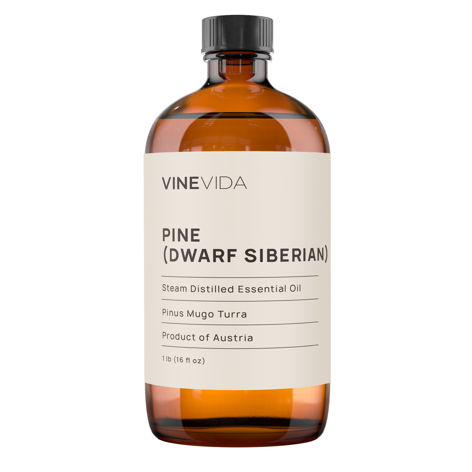 Pine (Dwarf Siberian) Essential Oil