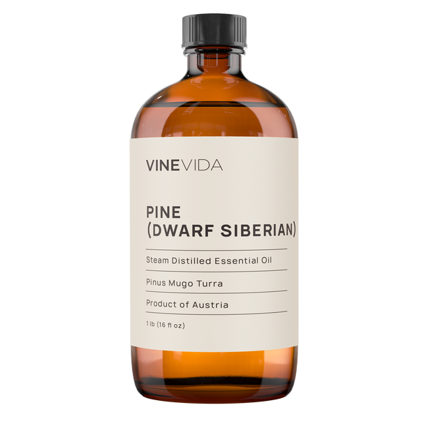 Pine (Dwarf Siberian) Essential Oil