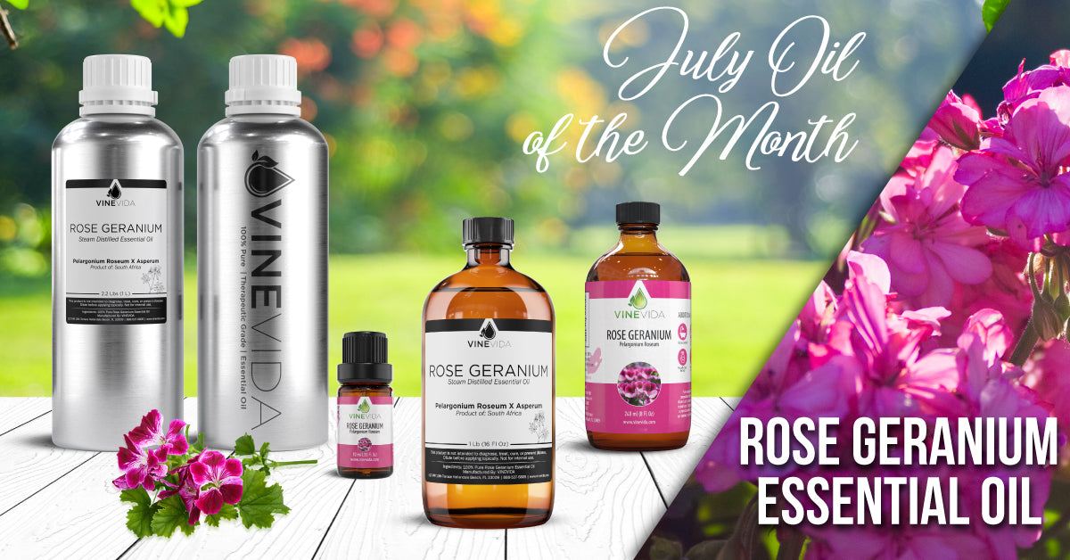 July's Oil of the Month: Rose Geranium Essential Oil