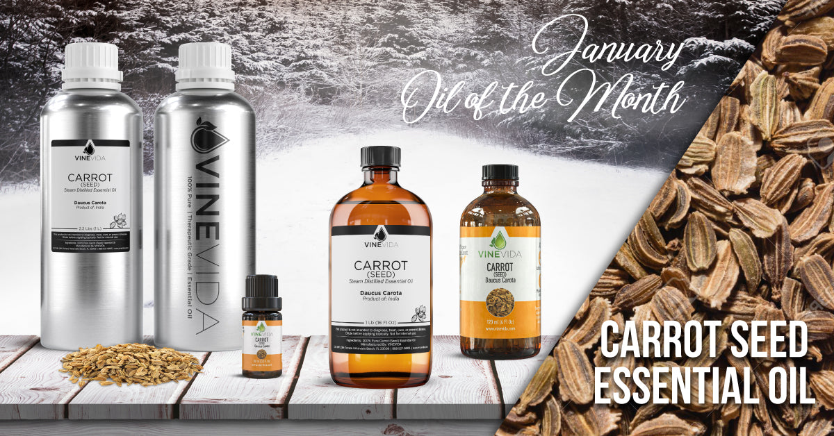 January's Oil of the Month: Carrot Seed Essential Oil