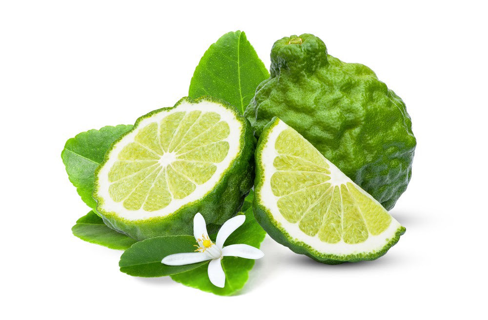An Exploration Into Bergamot Essential Oil
