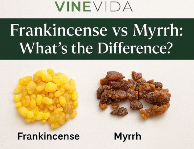 Frankincense vs Myrrh: What's the Difference & Which Should You Use?