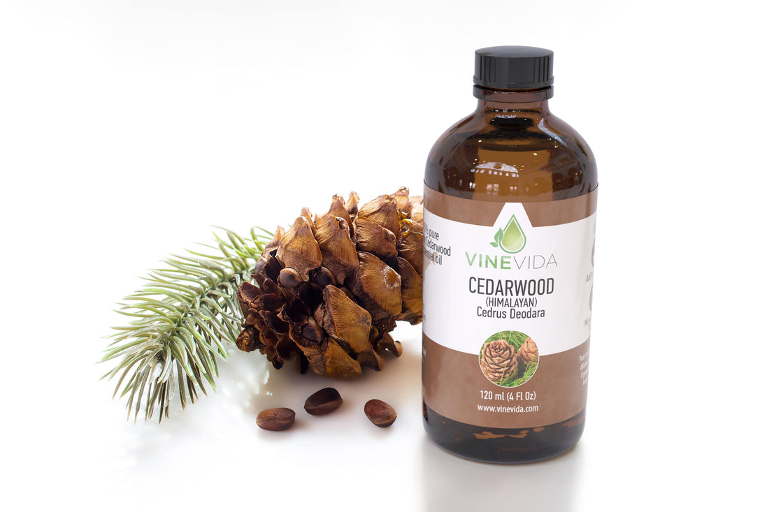 Is Cedarwood Oil Safe for Dogs?