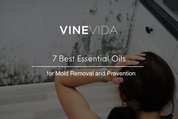 7 Best Essential Oils for Mold Removal and Prevention