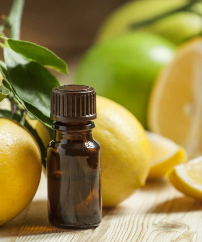Best Essential Oils for Memory and Focus