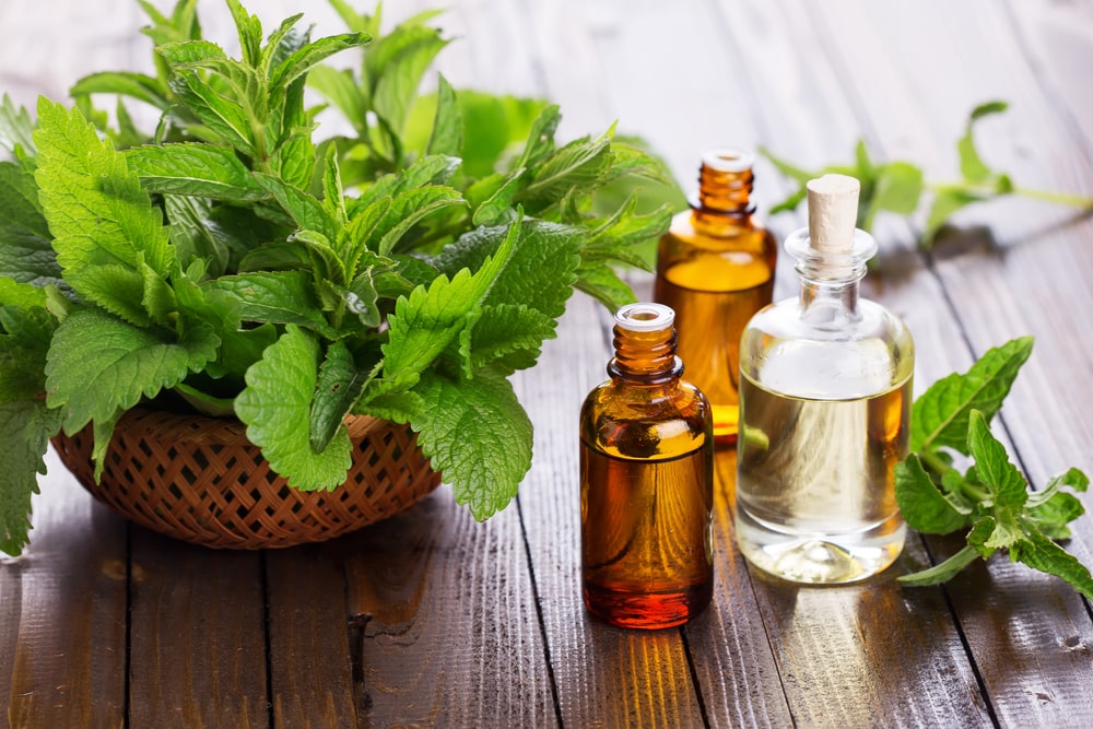 Does Peppermint Oil Repel Mice