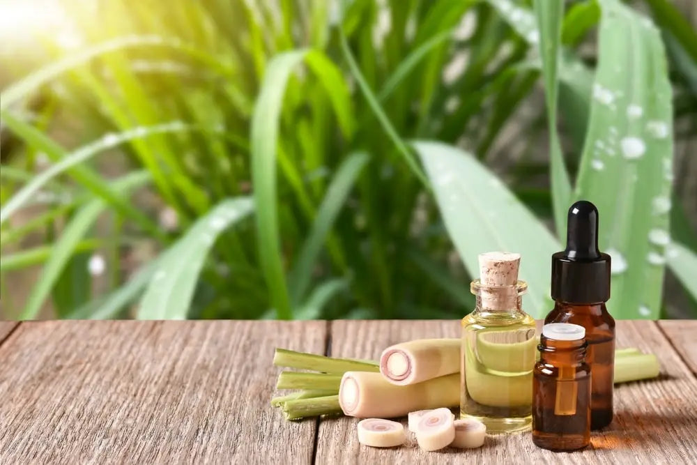 Essential Oils for The Busy Gardener