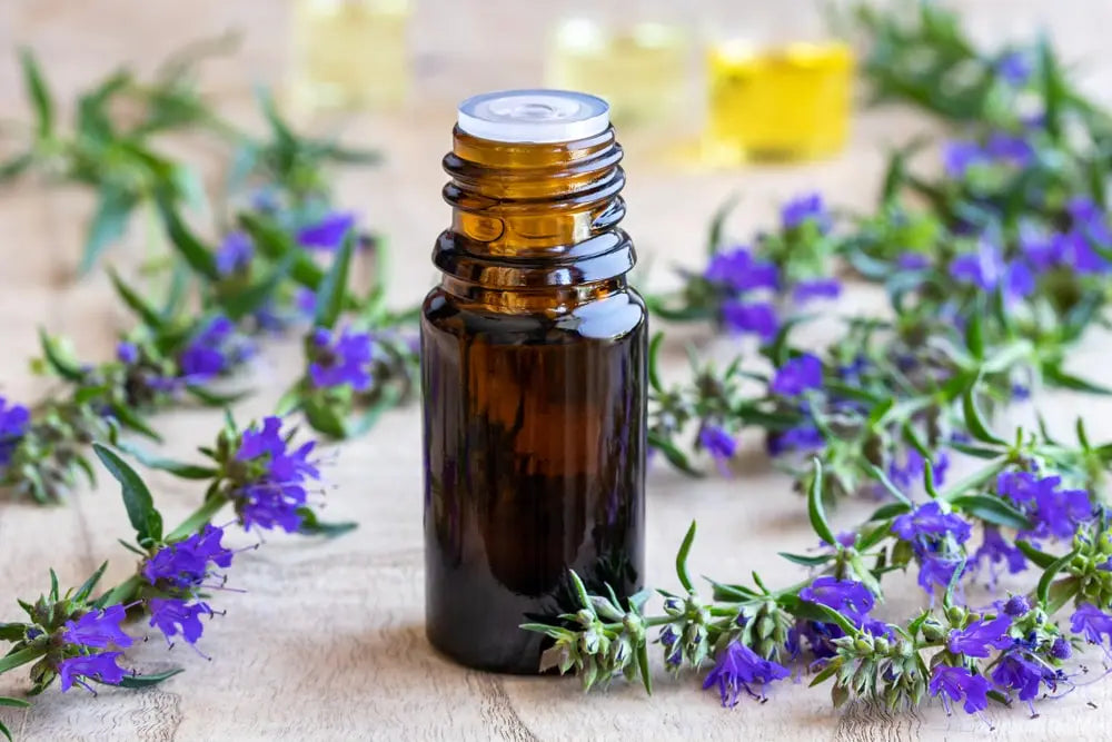 What Is Hyssop Essential Oil?