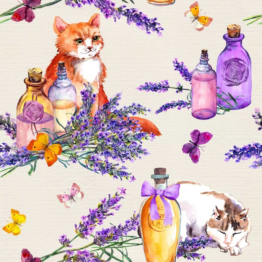 Is Lavender Essential Oil Safe for Cats?