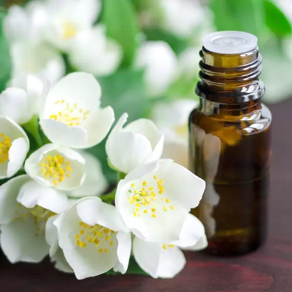 Top 7 Jasmine Essential Oil Uses And Benefits