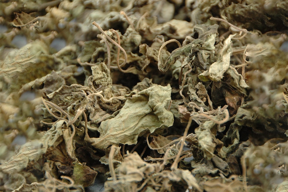 Patchouli Essential Oil Blends Well With