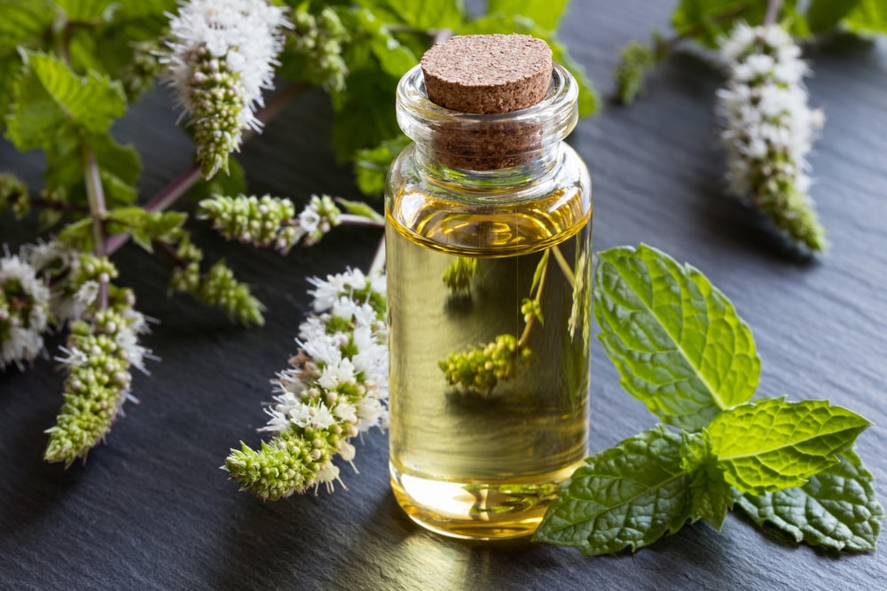 What Does Peppermint Oil Do?