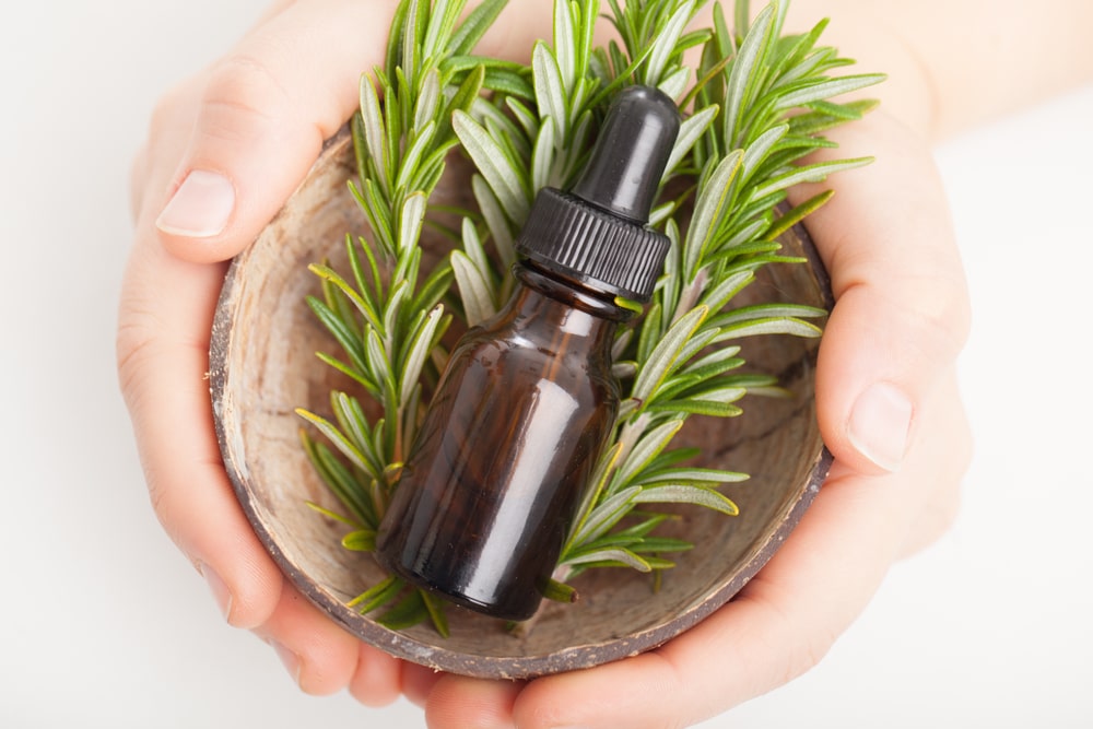 What is Rosemary Essential Oil Good for
