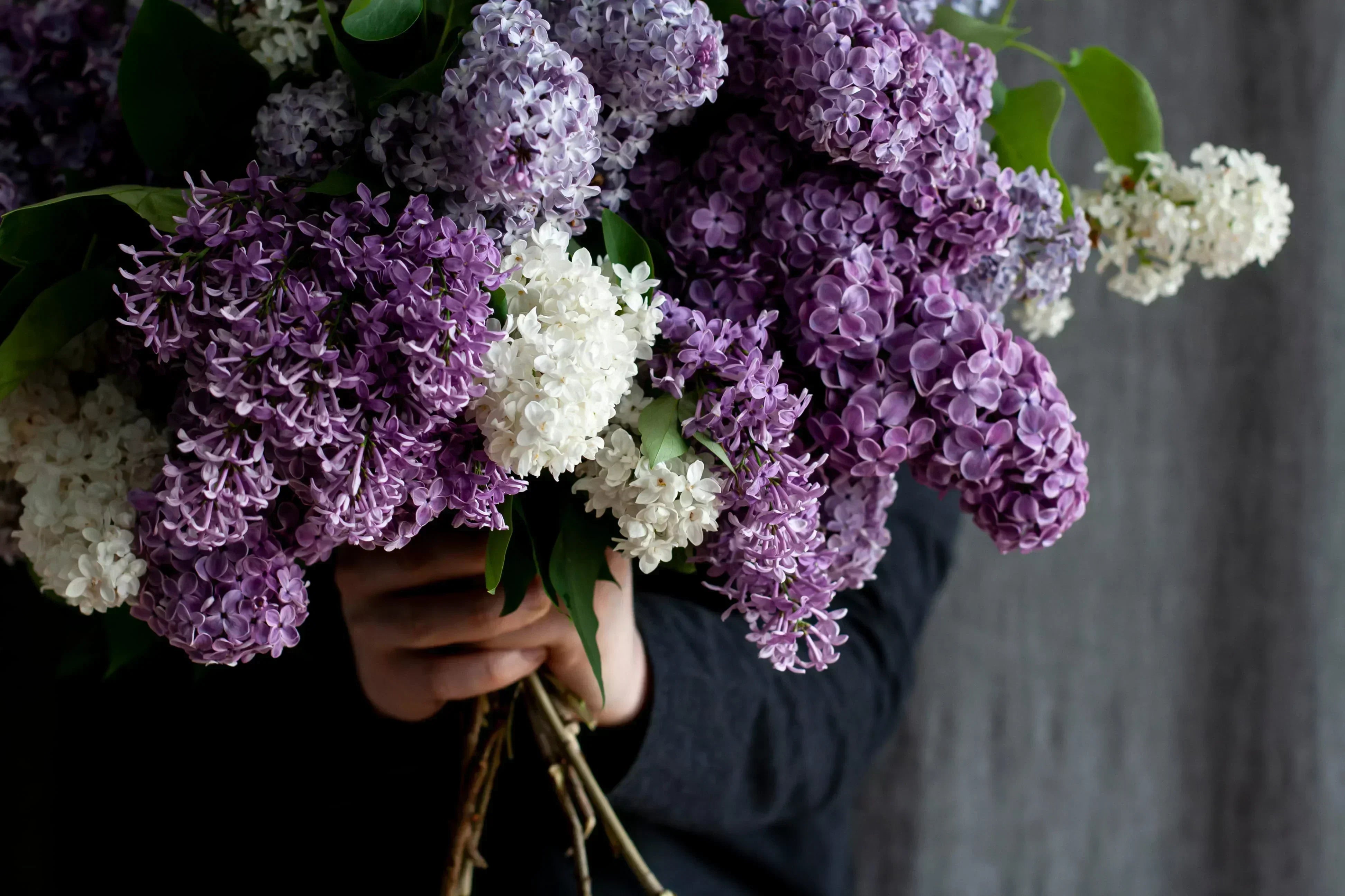 Blending NO. 141 - Pink Lilac Bouquet For Springtime Atmosphere