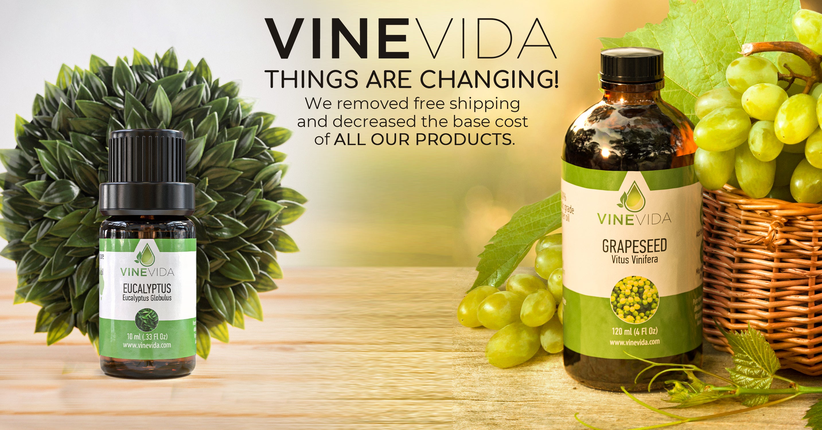 Statement from Our President: Things are Changing at VINEVIDA