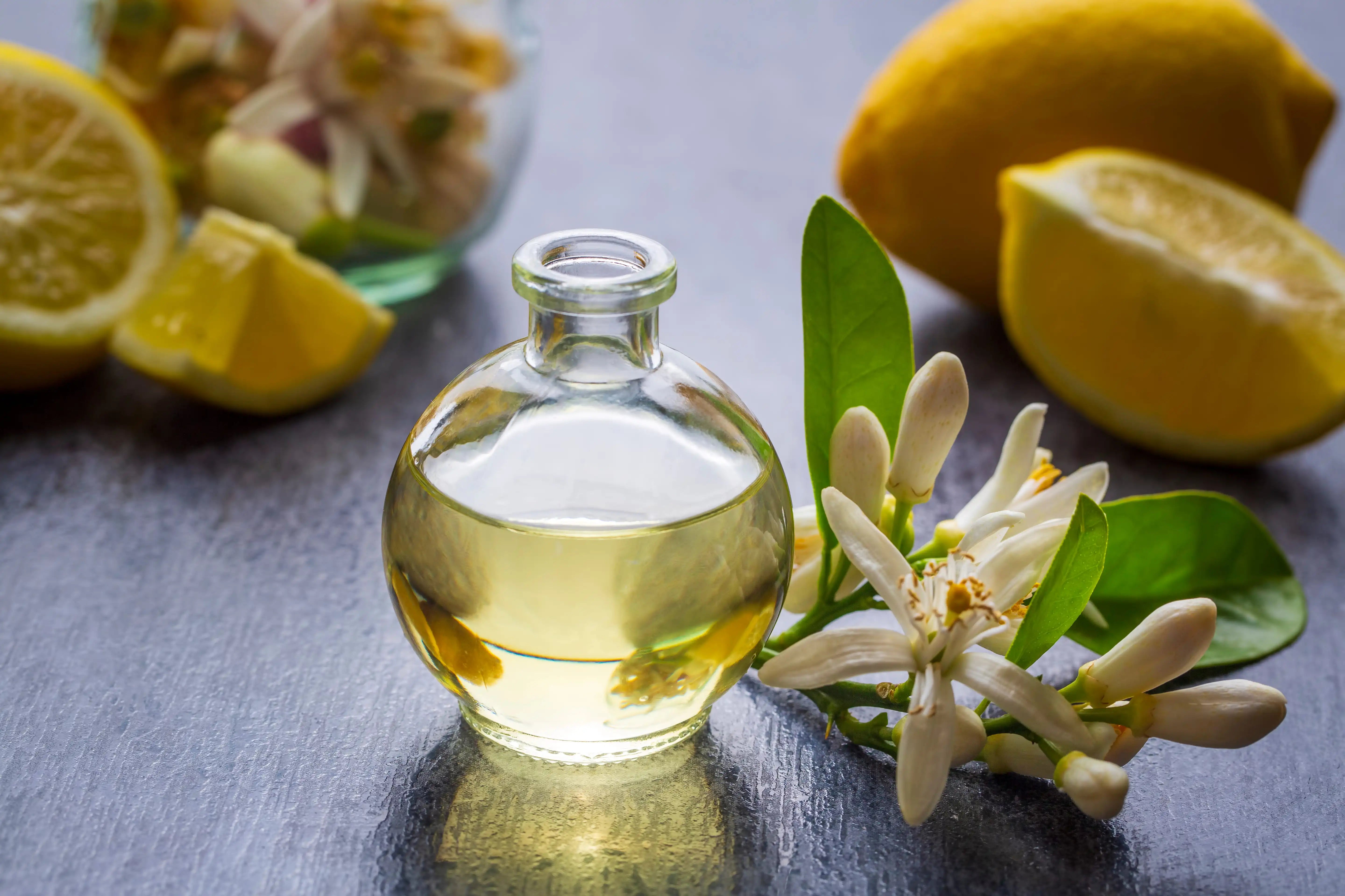 citrus floral perfume