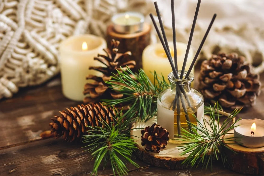 Dwarf Pine Essential Oil Of The Month