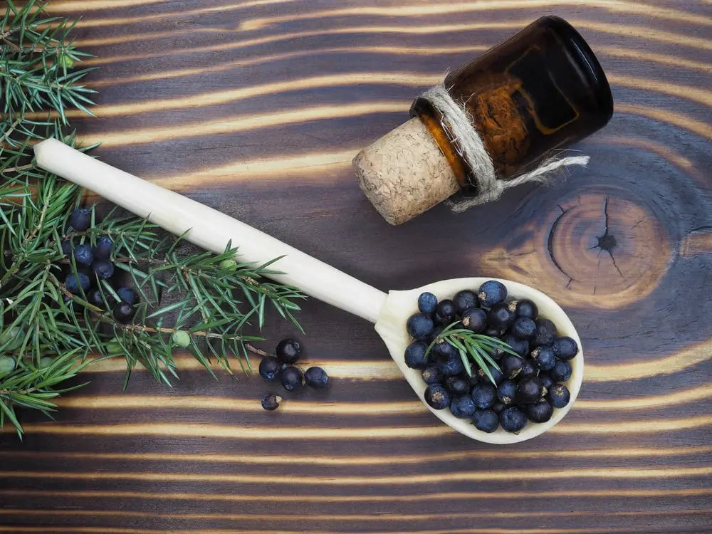 essential oils for kidney