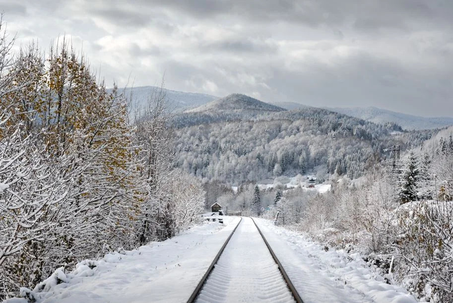 The Winter Scent Atlas - A Sensory Journey Through Our New Winter Collection