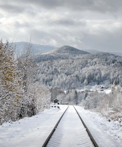 The Winter Scent Atlas - A Sensory Journey Through Our New Winter Collection