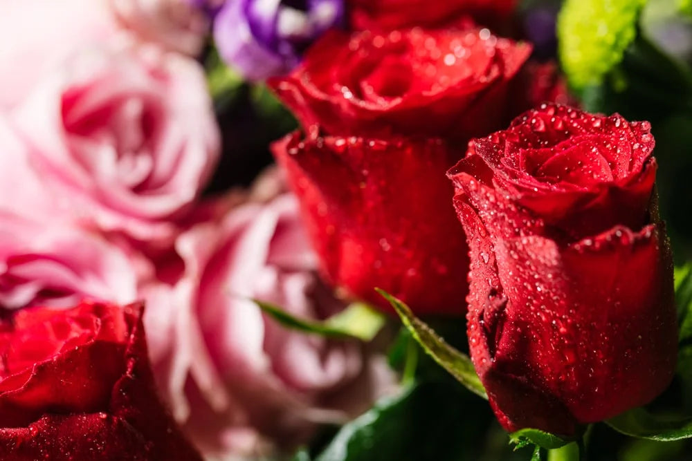 Fragrance Oil Of The Week: NO. 33 - Fresh Cut Roses Soaps & Candles Fragrance Oil