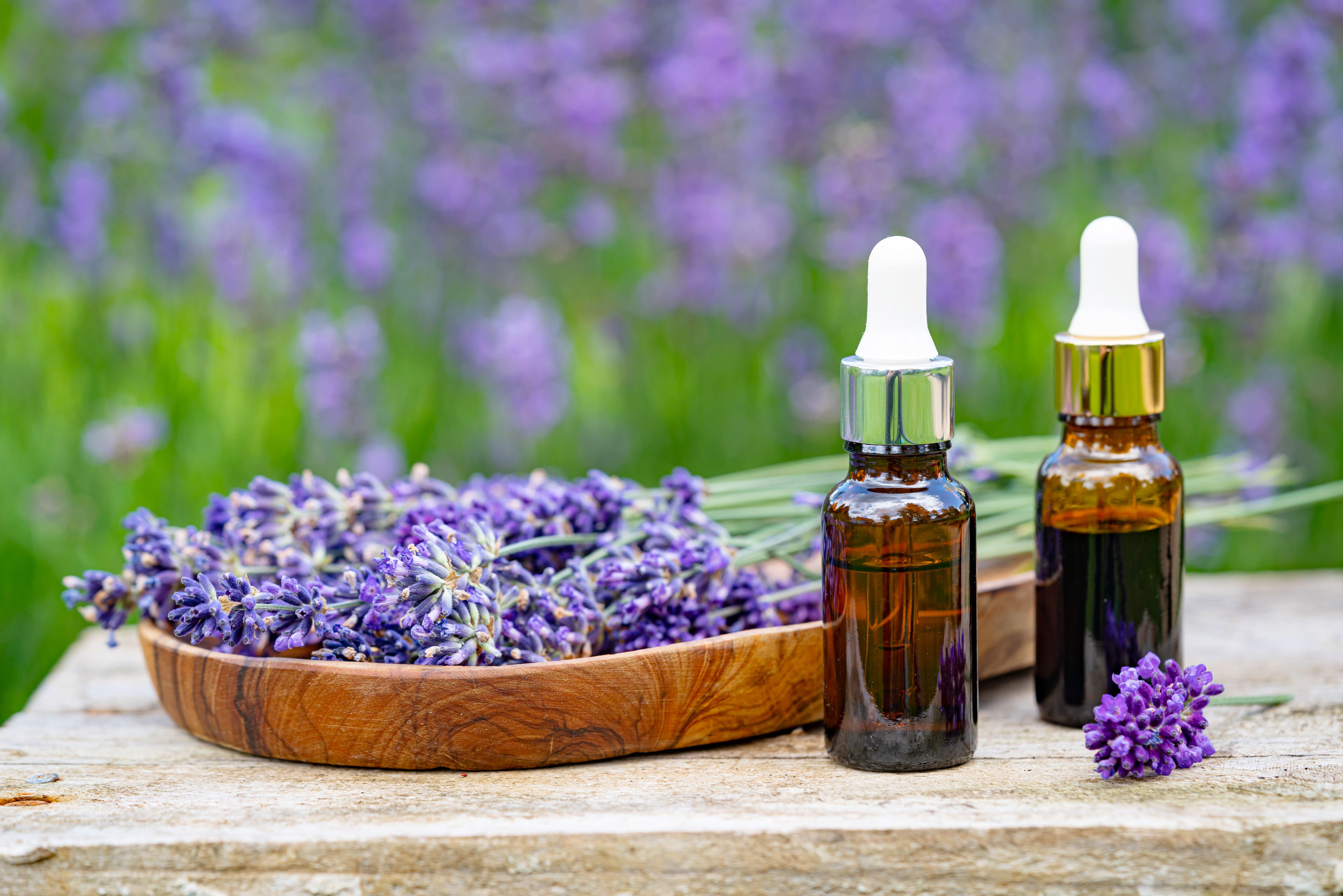 Is Lavender Oil Good for Skin?