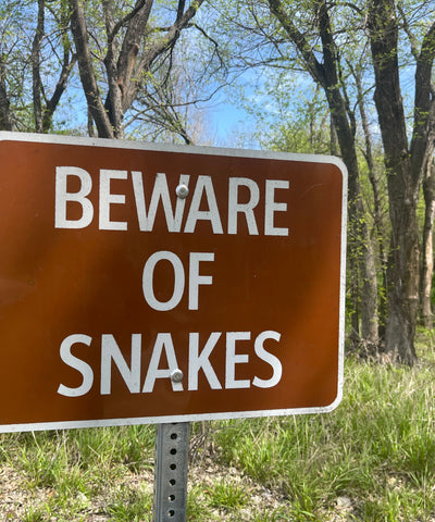 The Best Snake Repellent You Can Find, Based on the Experts