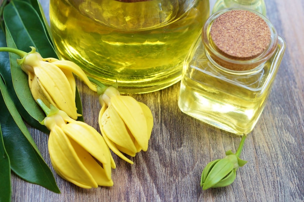 So Many Reasons To Love Ylang Ylang