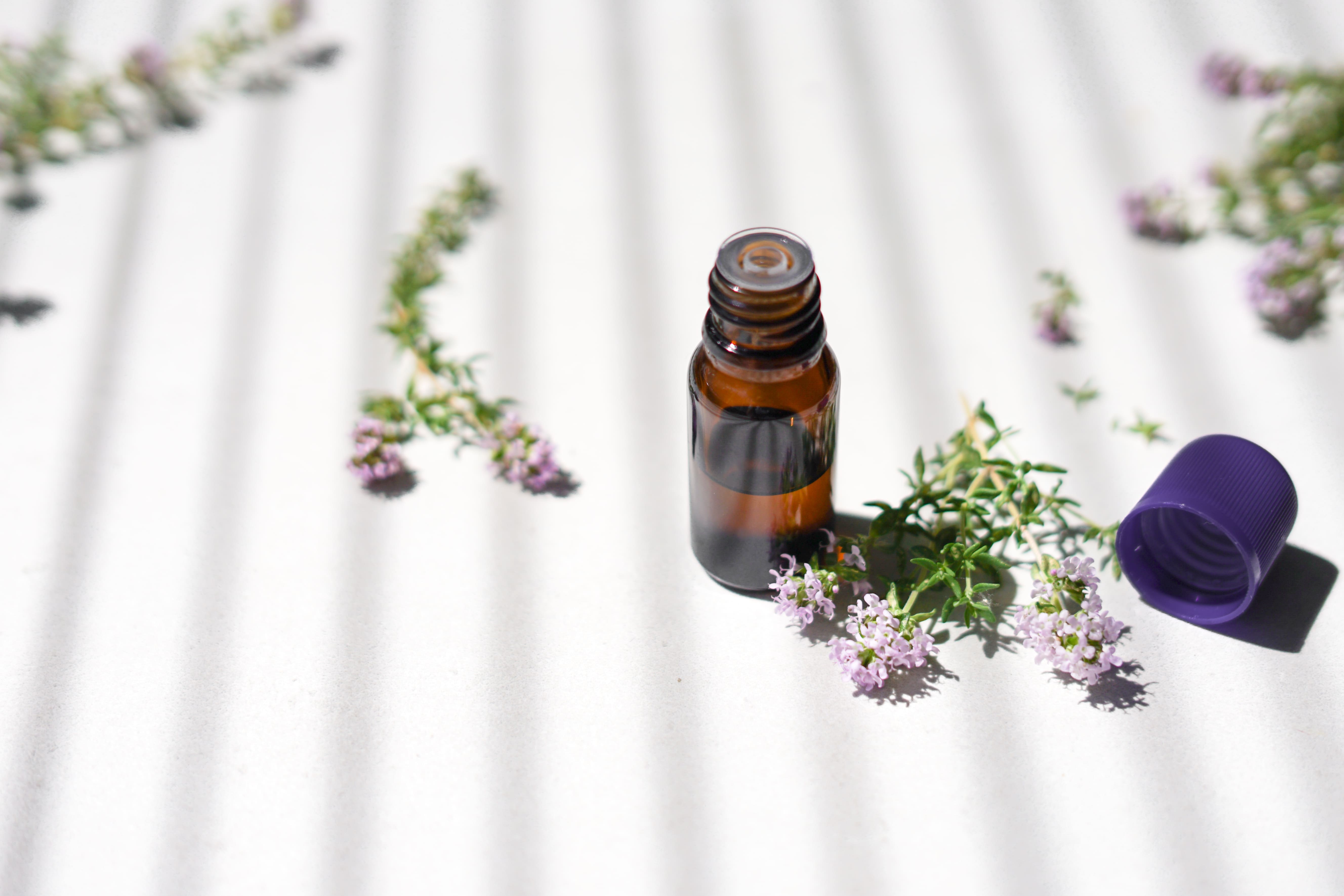 Red Thyme Essential Oil