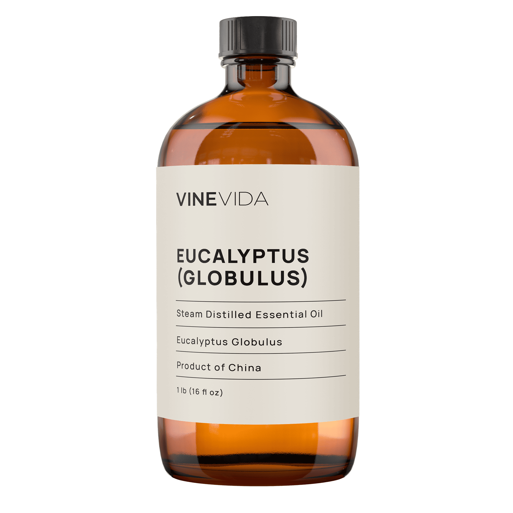 1 lb Eucalyptus (Globulus) Essential Oil