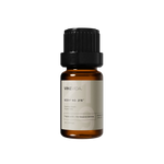 NO. 219 Fragrance Oil for Soaps & Candles - Original Cola