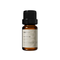 NO. 232 Fragrance Oil for Soaps & Candles - Coastline