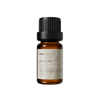 NO. 4207 Fragrance Oil for Soaps & Candles - Inspired by: Jazz Club by Maison Margiela - 10 mL