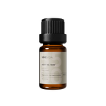 NO. 5500 Fragrance Oil for Soaps & Candles - Inspired by: Chloé (Women) by Chloé - 10 mL