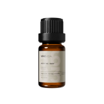 NO. 5603 Fragrance Oil for Soaps & Candles - Inspired by: Hand Wash by Aesop - 10 mL