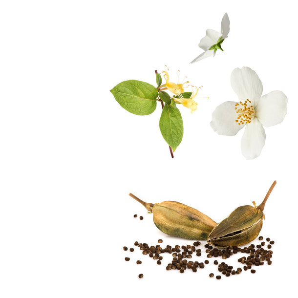 NO. 1300 Fragrance Oil for Cold Air Diffusers - Inspired by: Another 13 by Le Labo