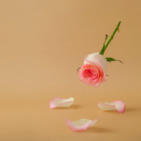 NO. 1201 Fragrance Oil for Soaps & Candles - Inspired by: Baies by Diptyque